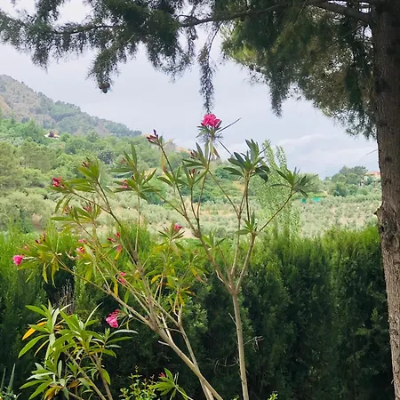 Nueva Cazorla Mirador Cerro Del Escribano Vakantiehuis La Iruela